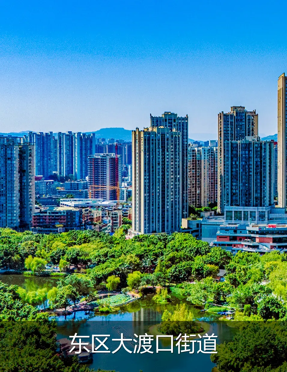 东区大渡口街道